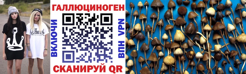блэк спрут вход  Заинск  Псилоцибиновые грибы Cubensis  что такое наркотик 